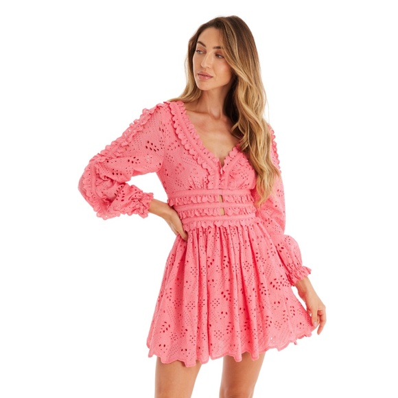 NWT Allison New York - Taylor Pink Eyelet Mini Dress Multiple Sizes Available - Picture 5 of 8